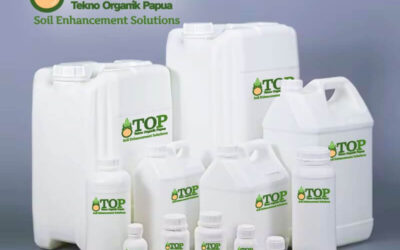 Biofertilizer, Organic Fertilizer and Microbial Fertilizer